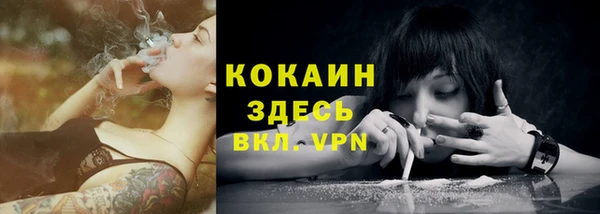соль ск Переславль-Залесский