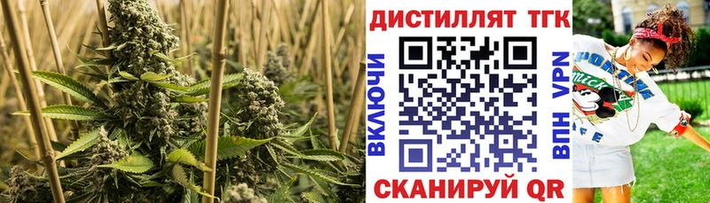 Дистиллят ТГК жижа  omg ССЫЛКА  Сусуман 